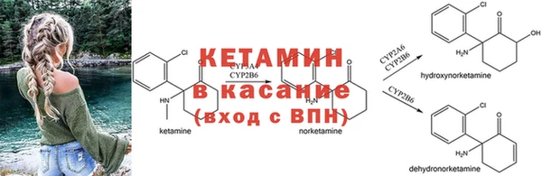 не бодяженный Аркадак