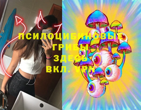 героин Покачи