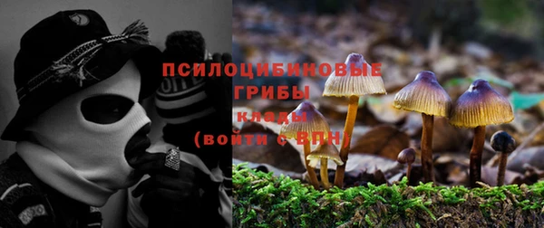 шишки Навашино
